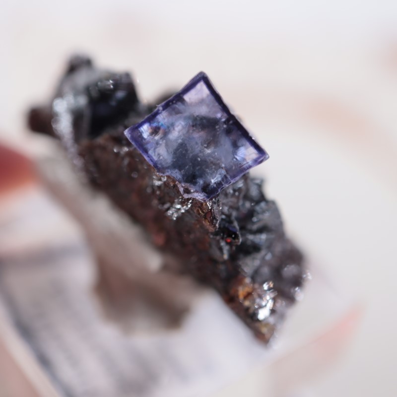 エルムウッド鉱山 フローライト | 鉱物標本,ハ行,フローライト