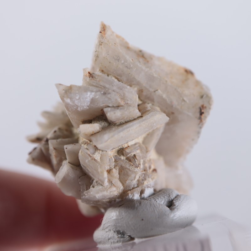 ����ꥫ�������ץ���