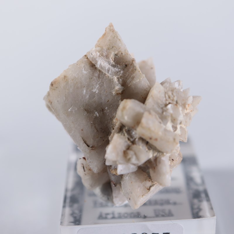 ����ꥫ�������ץ���