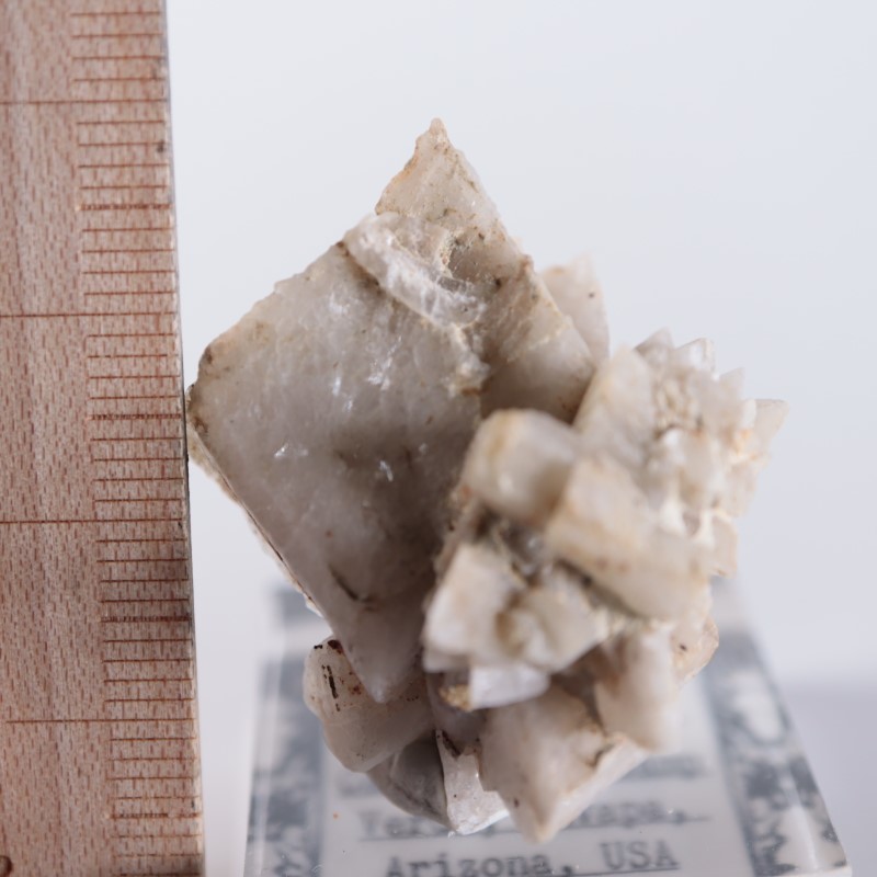 ����ꥫ�������ץ���