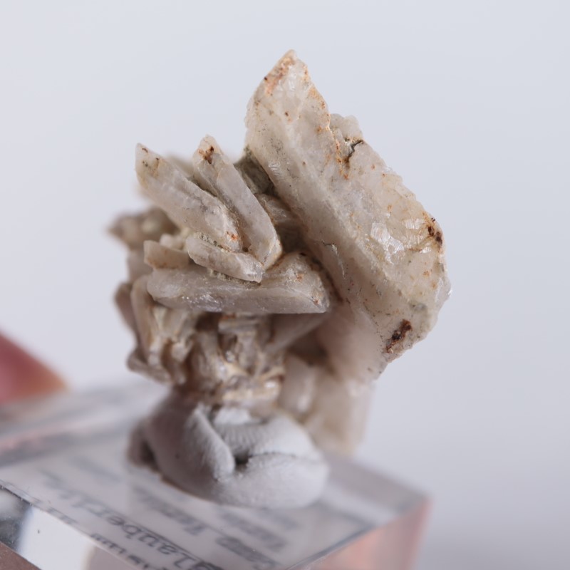 ����ꥫ�������ץ���