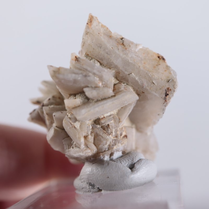 ����ꥫ�������ץ���