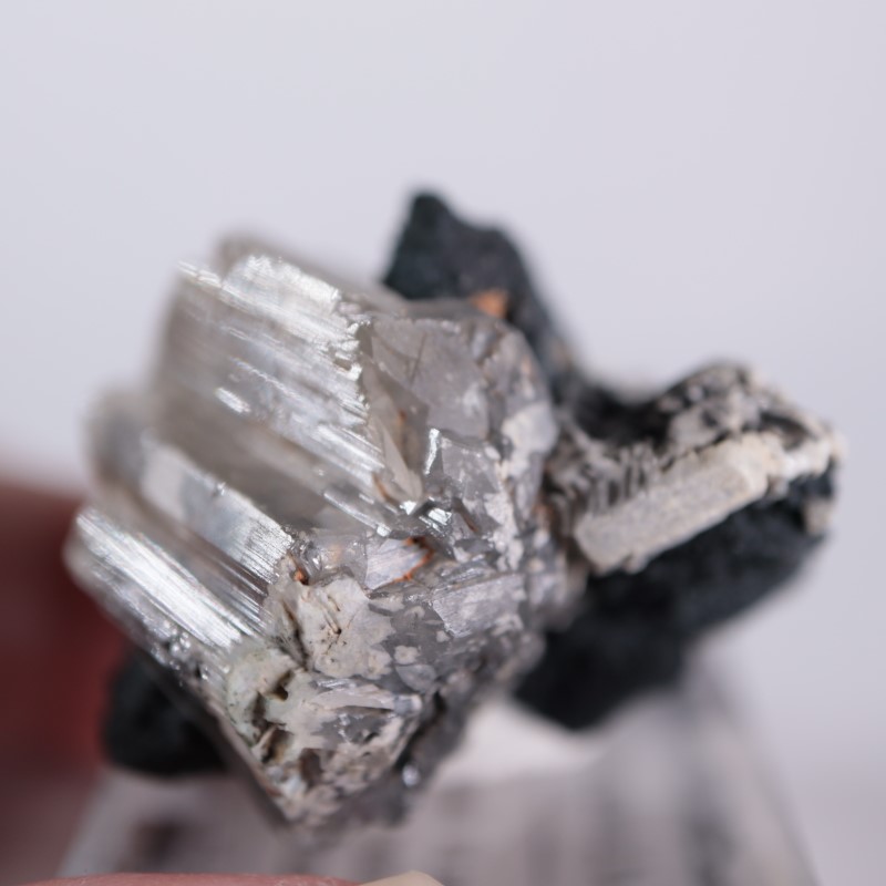 ツメブ産セルサイト(白鉛鉱)  鉱物 ツメブ鉱山 白鉛鉱（セルサイト） | 鉱物標本,サ行,セルサイト