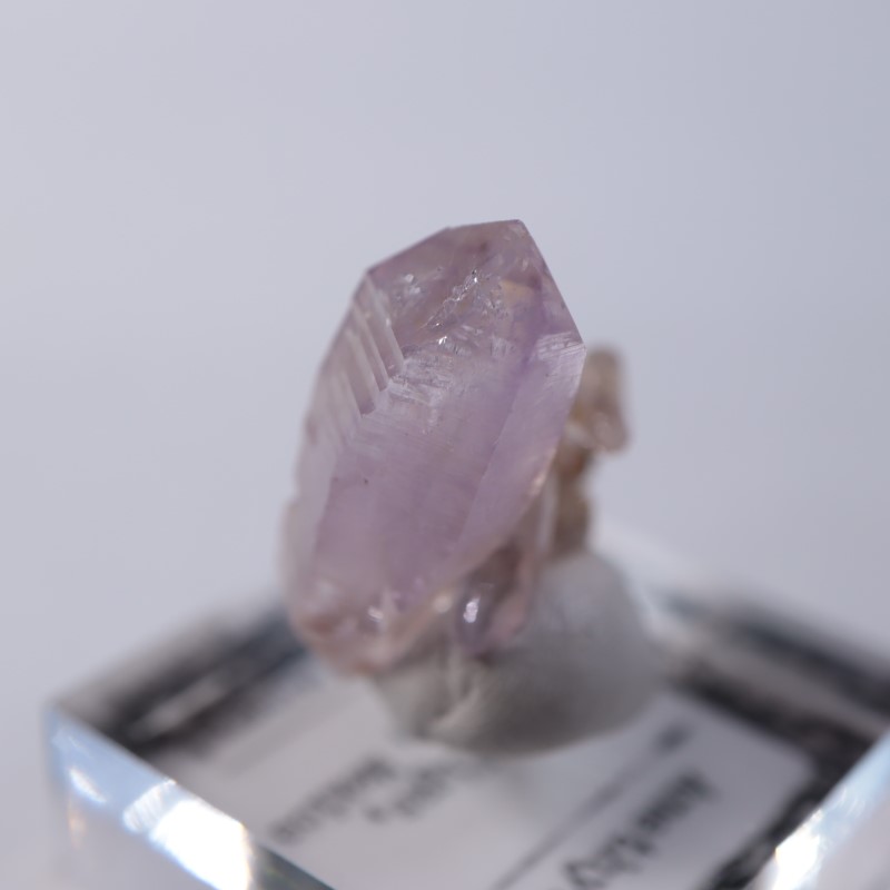 �٥饯�륹�������᥷����