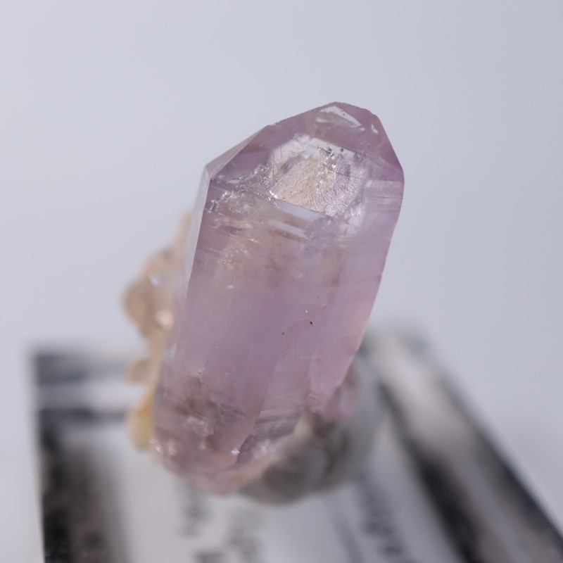 �٥饯�륹�������᥷����