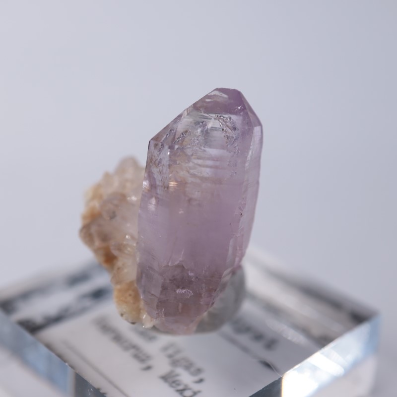 �٥饯�륹�������᥷����