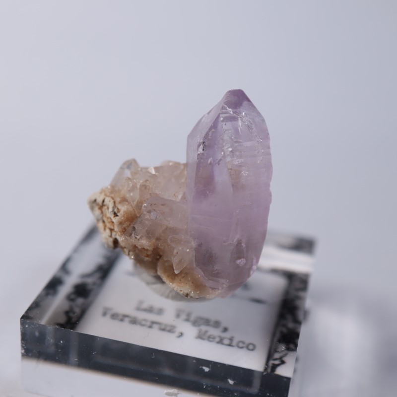 �٥饯�륹�������᥷����