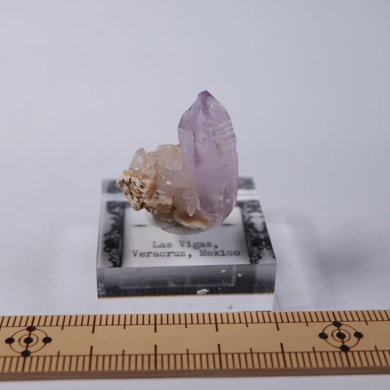 �٥饯�륹�������᥷����