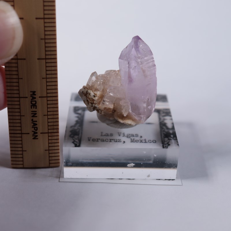 �٥饯�륹�������᥷����