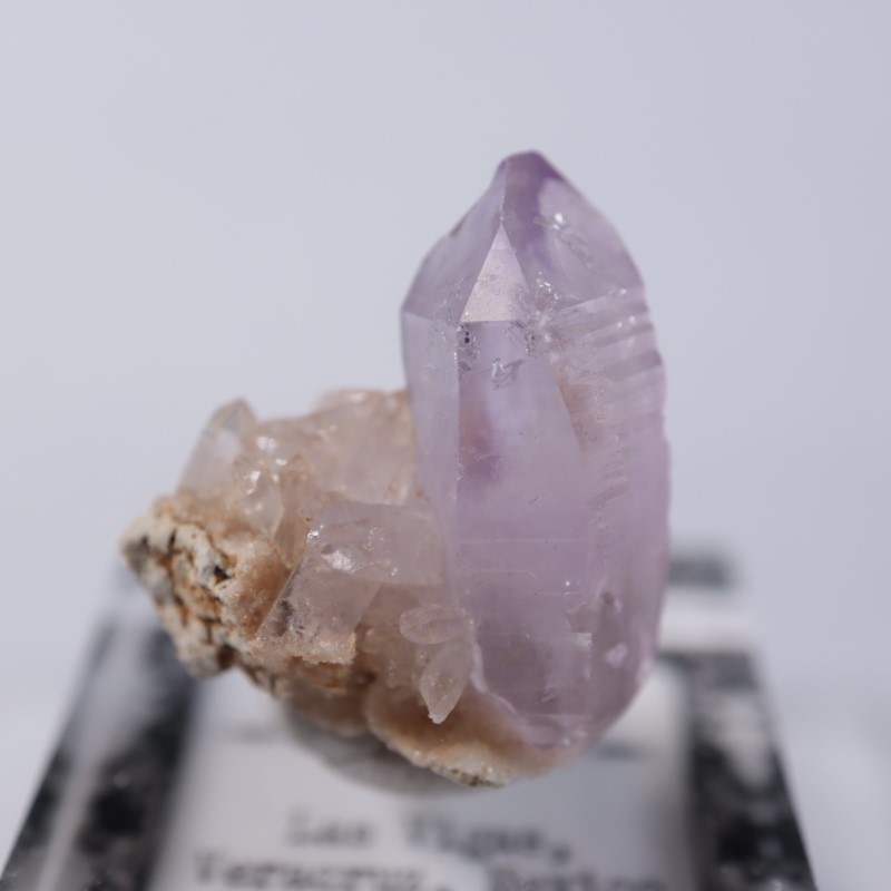 �٥饯�륹�������᥷����