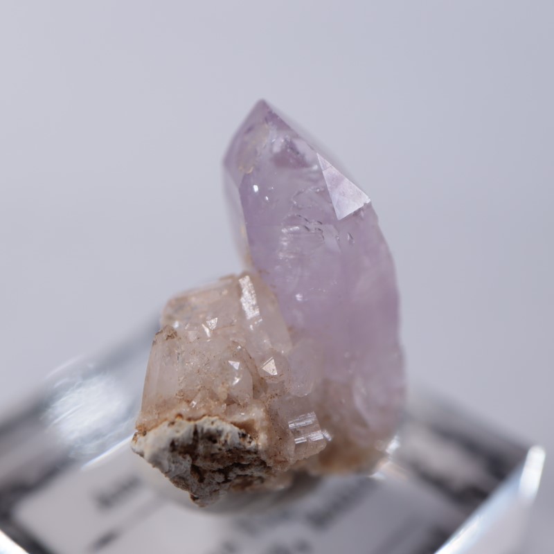 �٥饯�륹�������᥷����