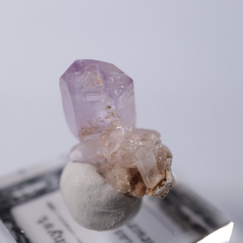 �٥饯�륹�������᥷����