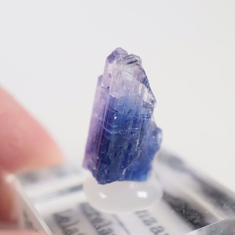 【鉱物標本】非加熱タンザナイト/Tanzanite(ゾイサイト)※タンザニア タンザナイト の商品一覧- 鉱物標本・隕石標本販売のWeb専門店