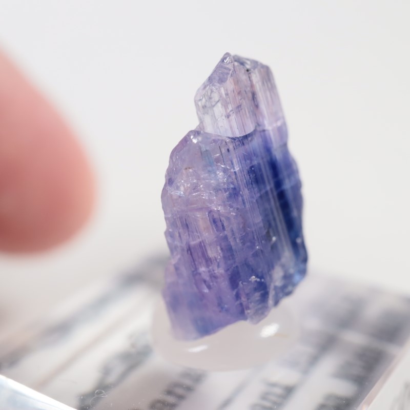 タンザニア産 タンザナイト | 鉱物標本,タ行,タンザナイト