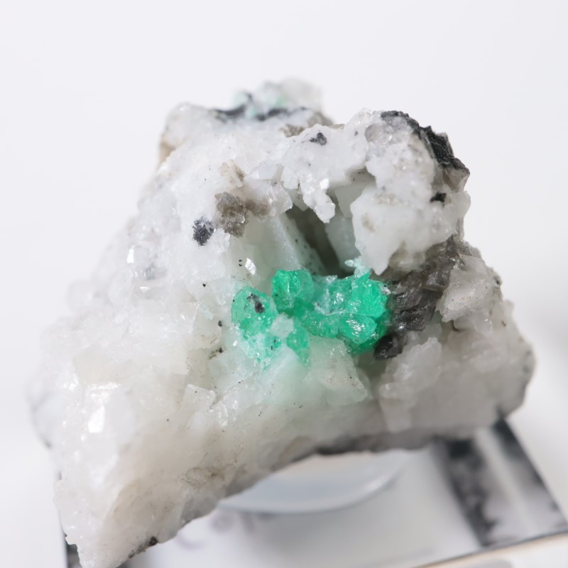 ������ӥ������������