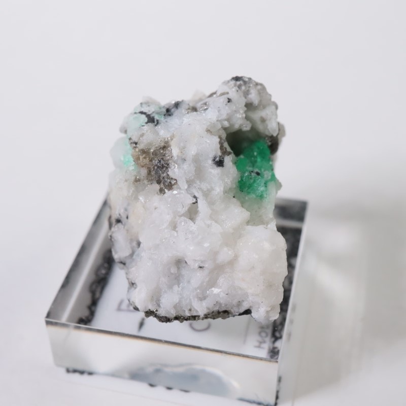 ������ӥ������������