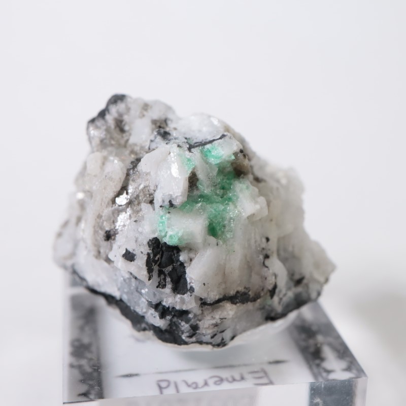 ������ӥ������������