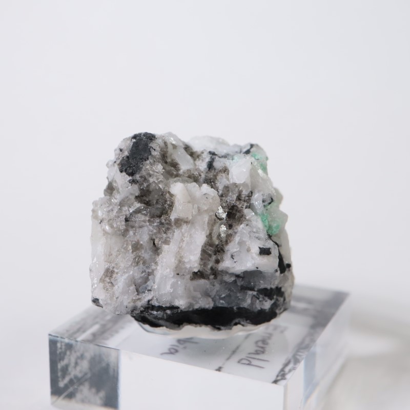 ������ӥ������������