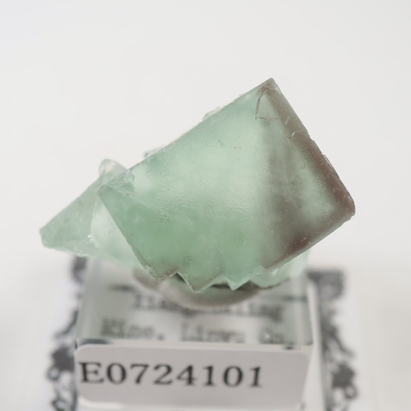 ��񻺡��ե����饤��