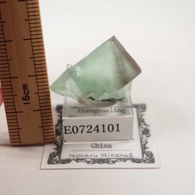 ��񻺡��ե����饤��