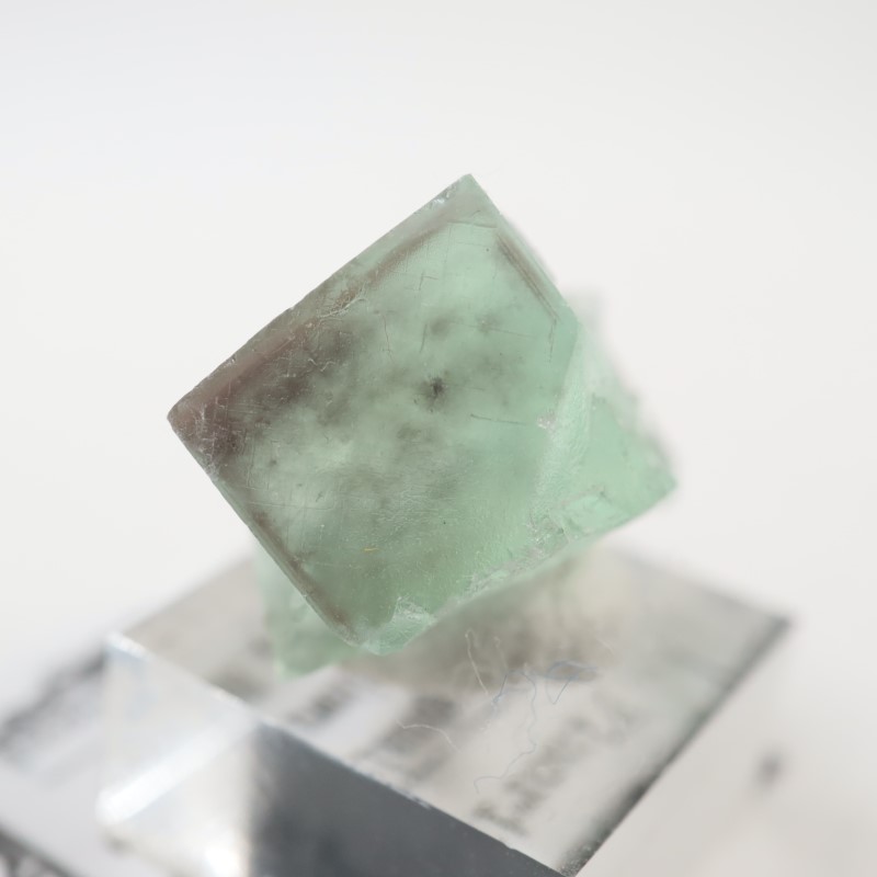 ��񻺡��ե����饤��