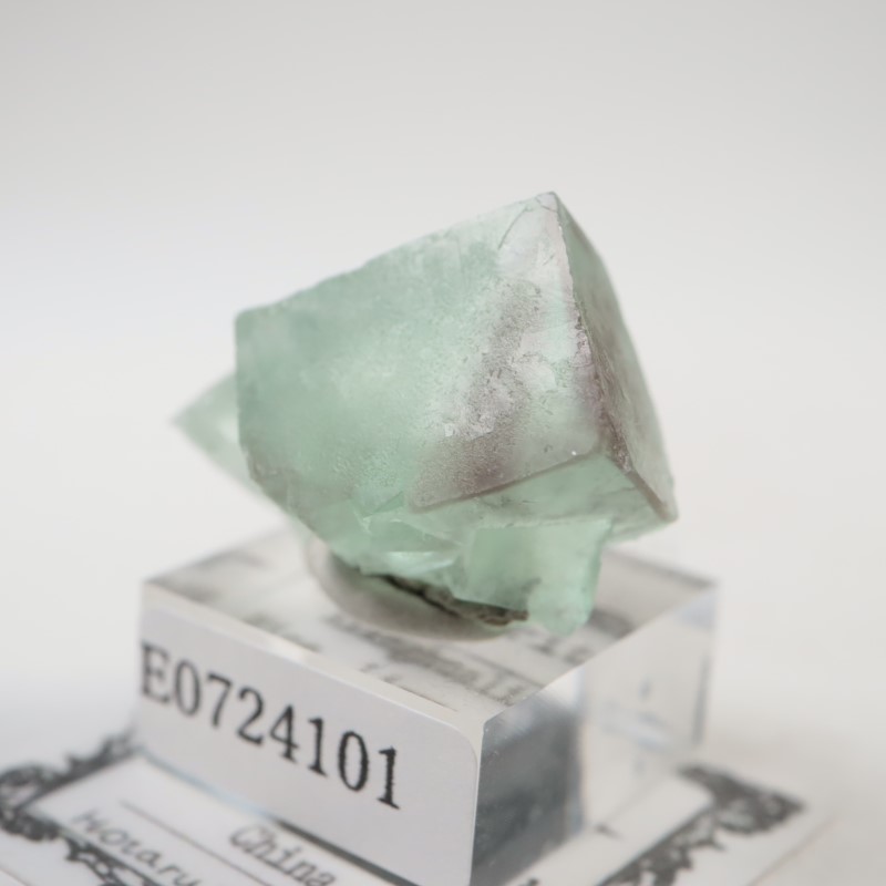 ��񻺡��ե����饤��