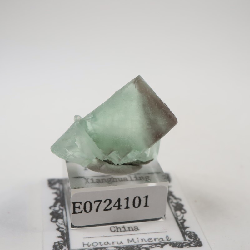 ��񻺡��ե����饤��