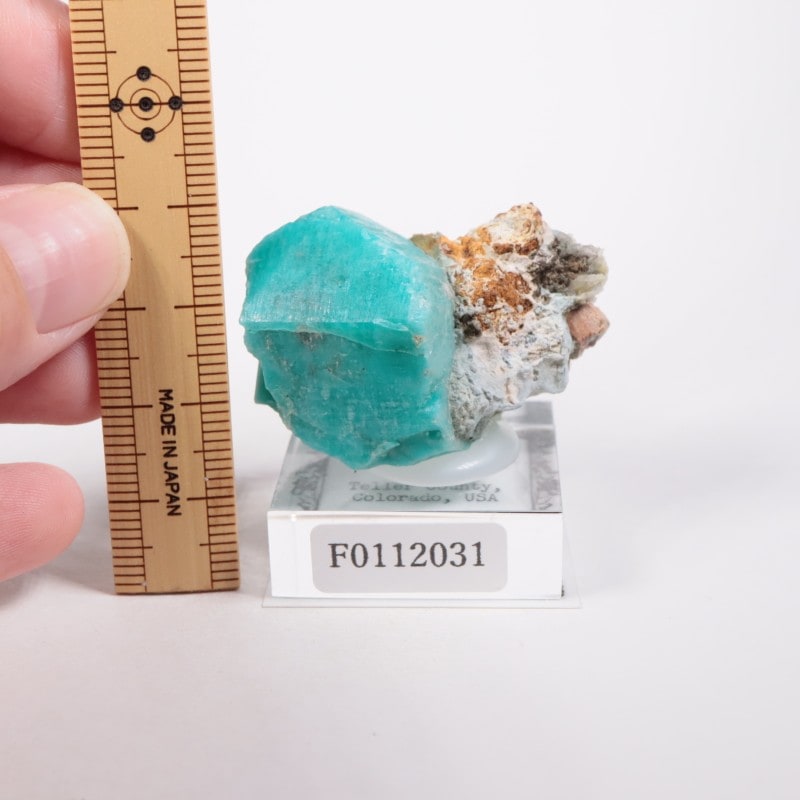 ������ɽ��� ���ޥ��ʥ���