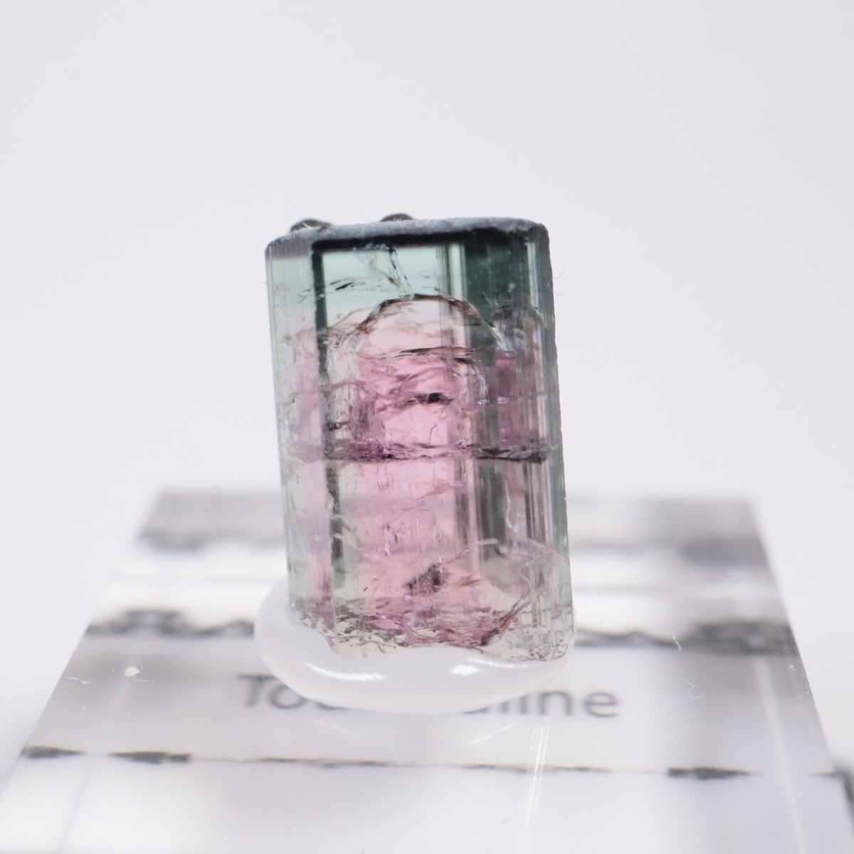 �֥饸�뻺 �ȥ�ޥ��