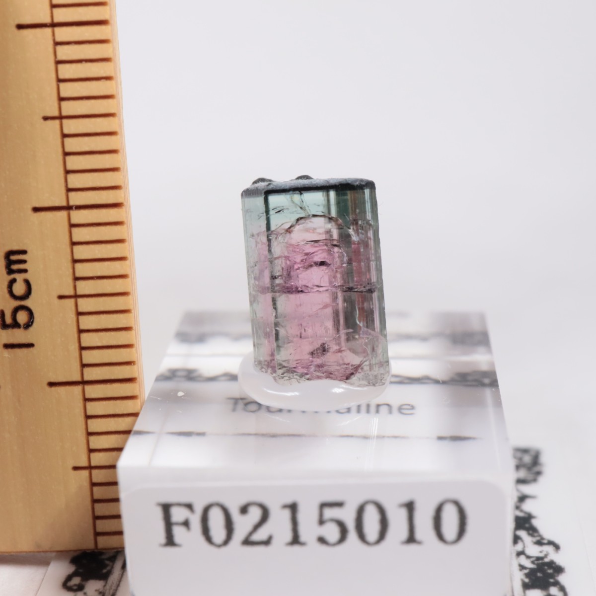 �֥饸�뻺 �ȥ�ޥ��