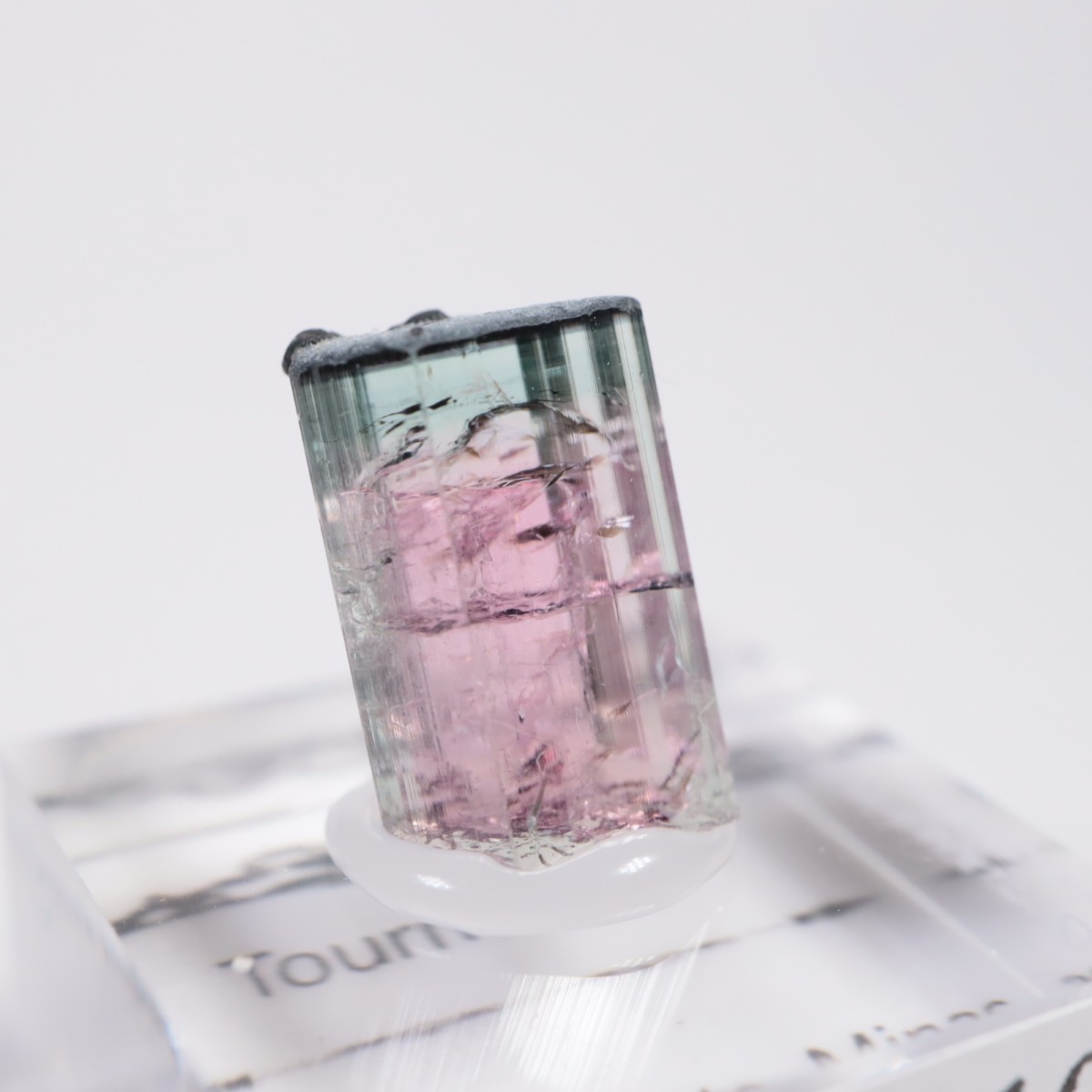 �֥饸�뻺 �ȥ�ޥ��