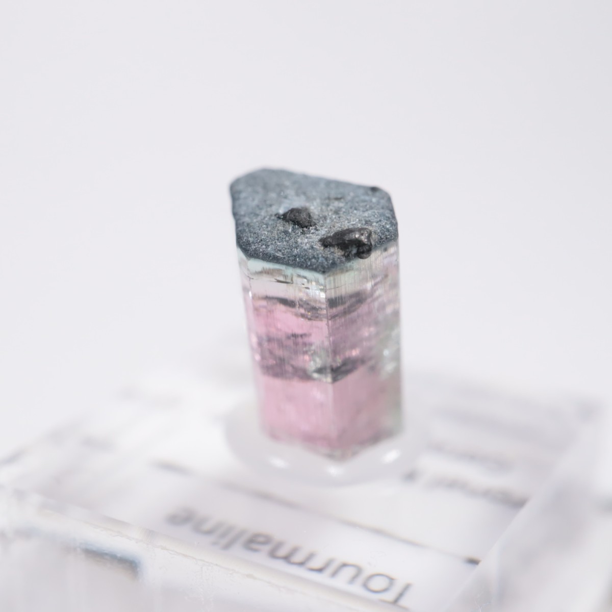 �֥饸�뻺 �ȥ�ޥ��