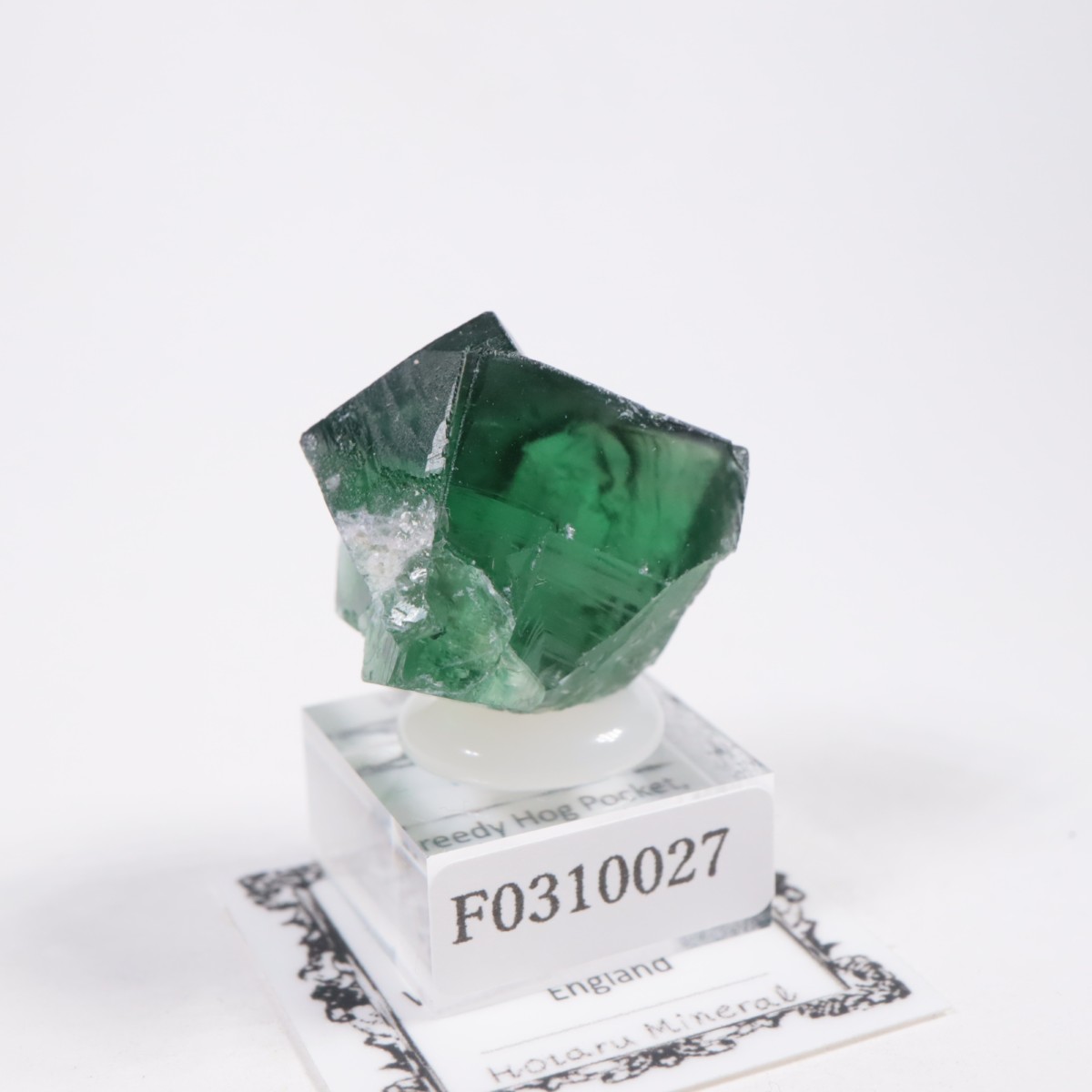 Greedy Hog Pocket�� �ե����饤��