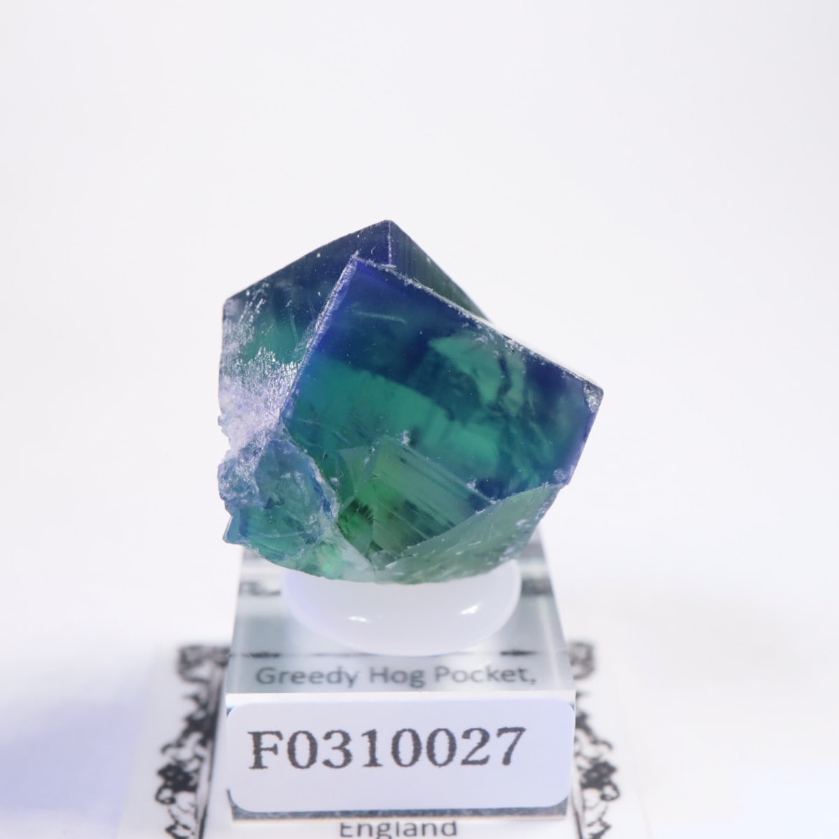 Greedy Hog Pocket�� �ե����饤��