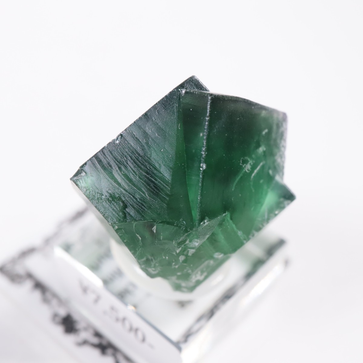 Greedy Hog Pocket�� �ե����饤��