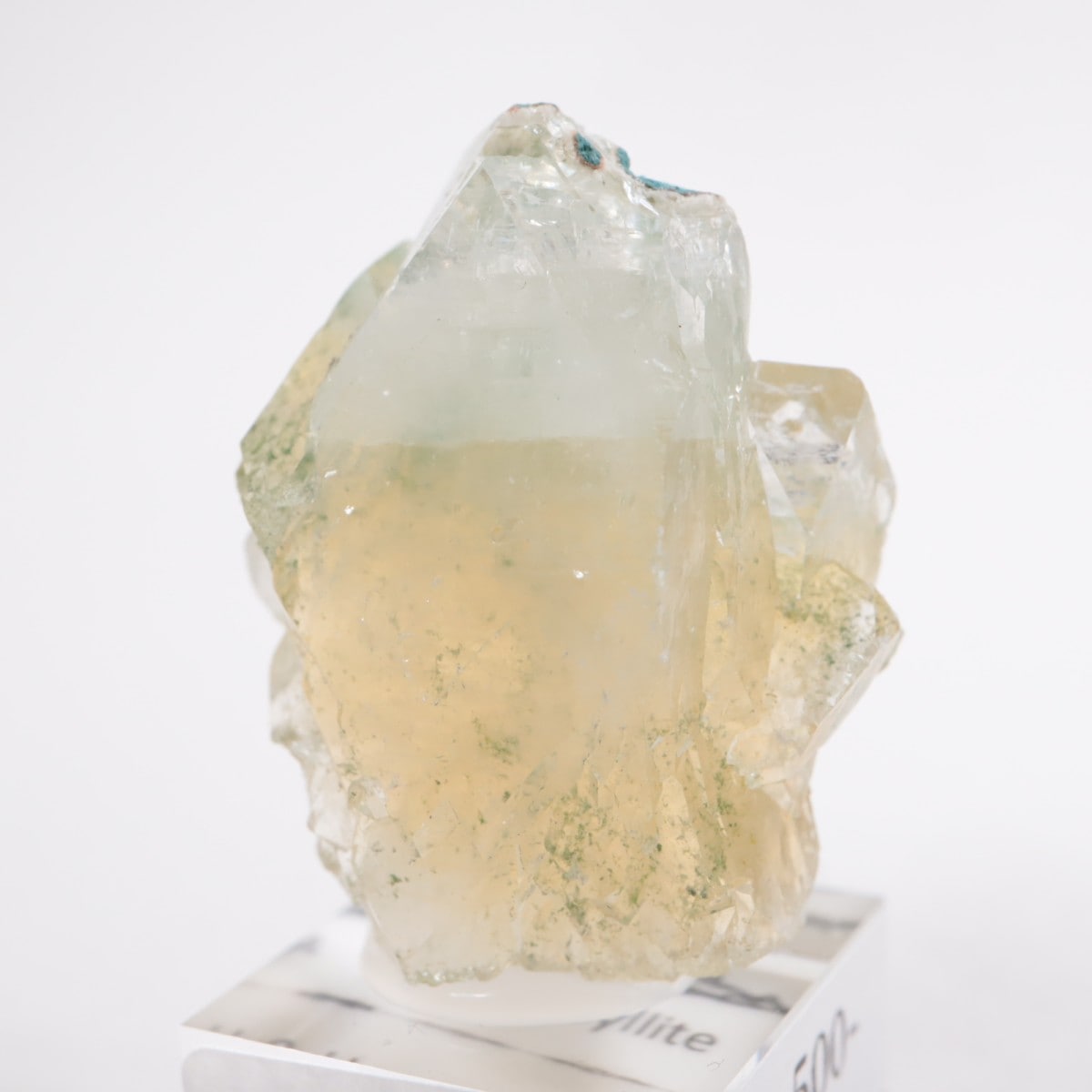 ����ɻ� ���ݥե��饤��