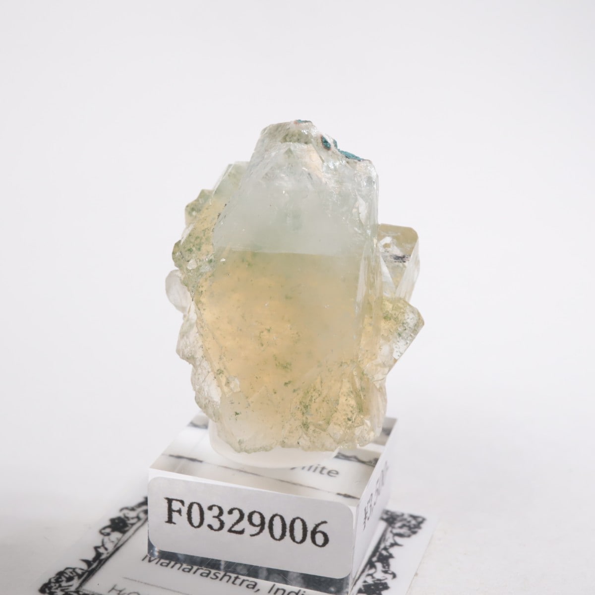 ����ɻ� ���ݥե��饤��