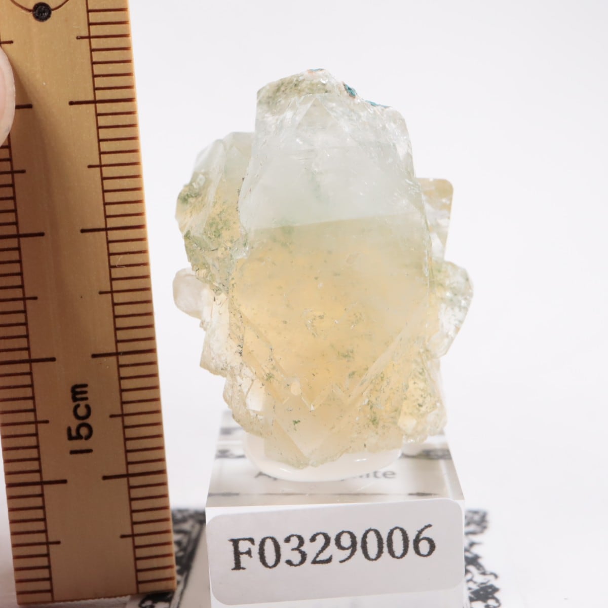 ����ɻ� ���ݥե��饤��