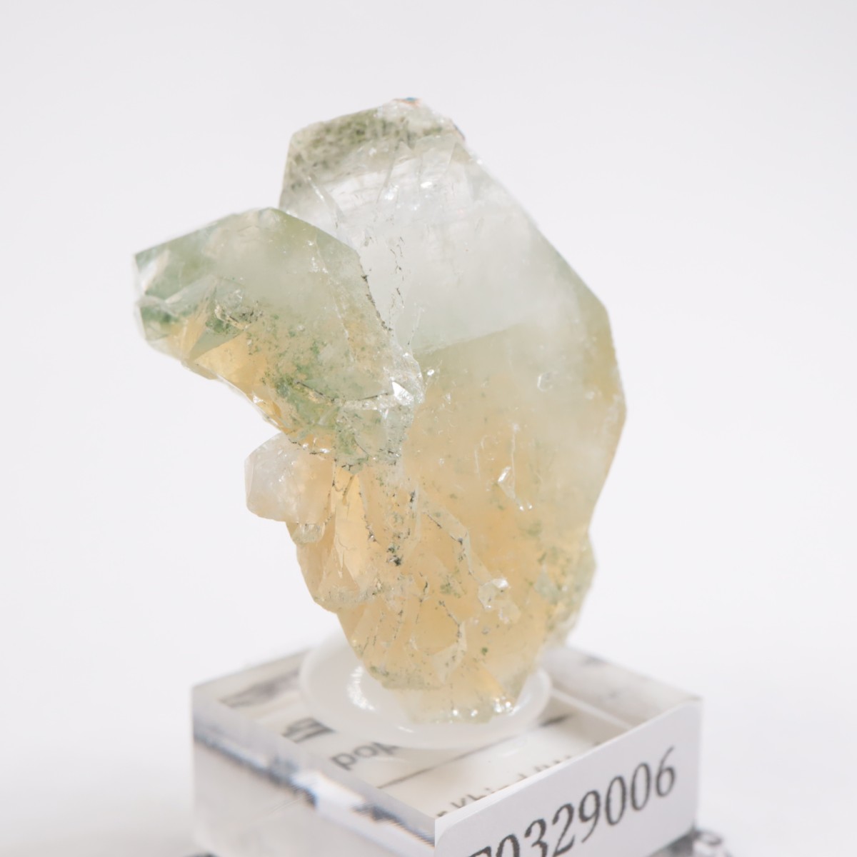 ����ɻ� ���ݥե��饤��