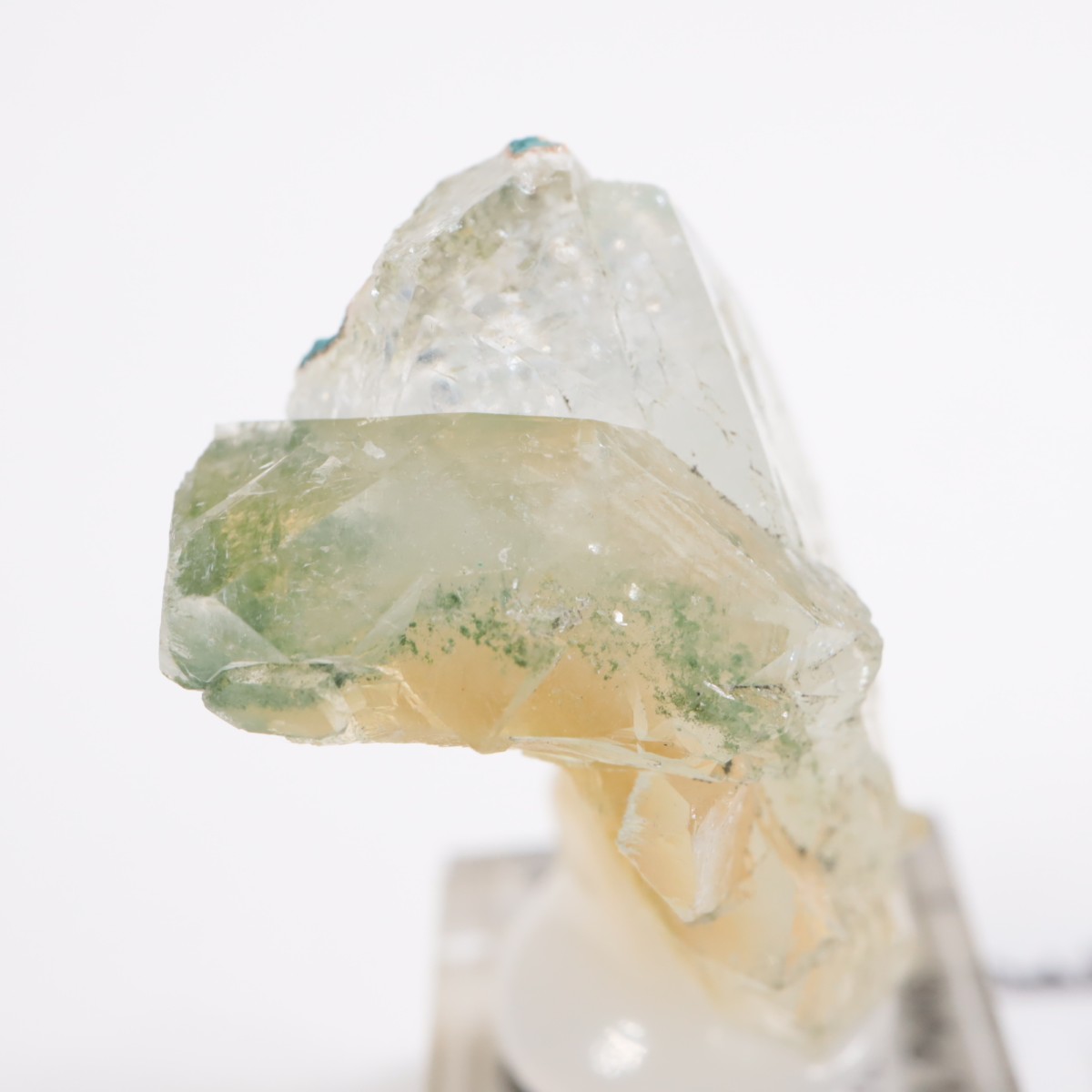 ����ɻ� ���ݥե��饤��