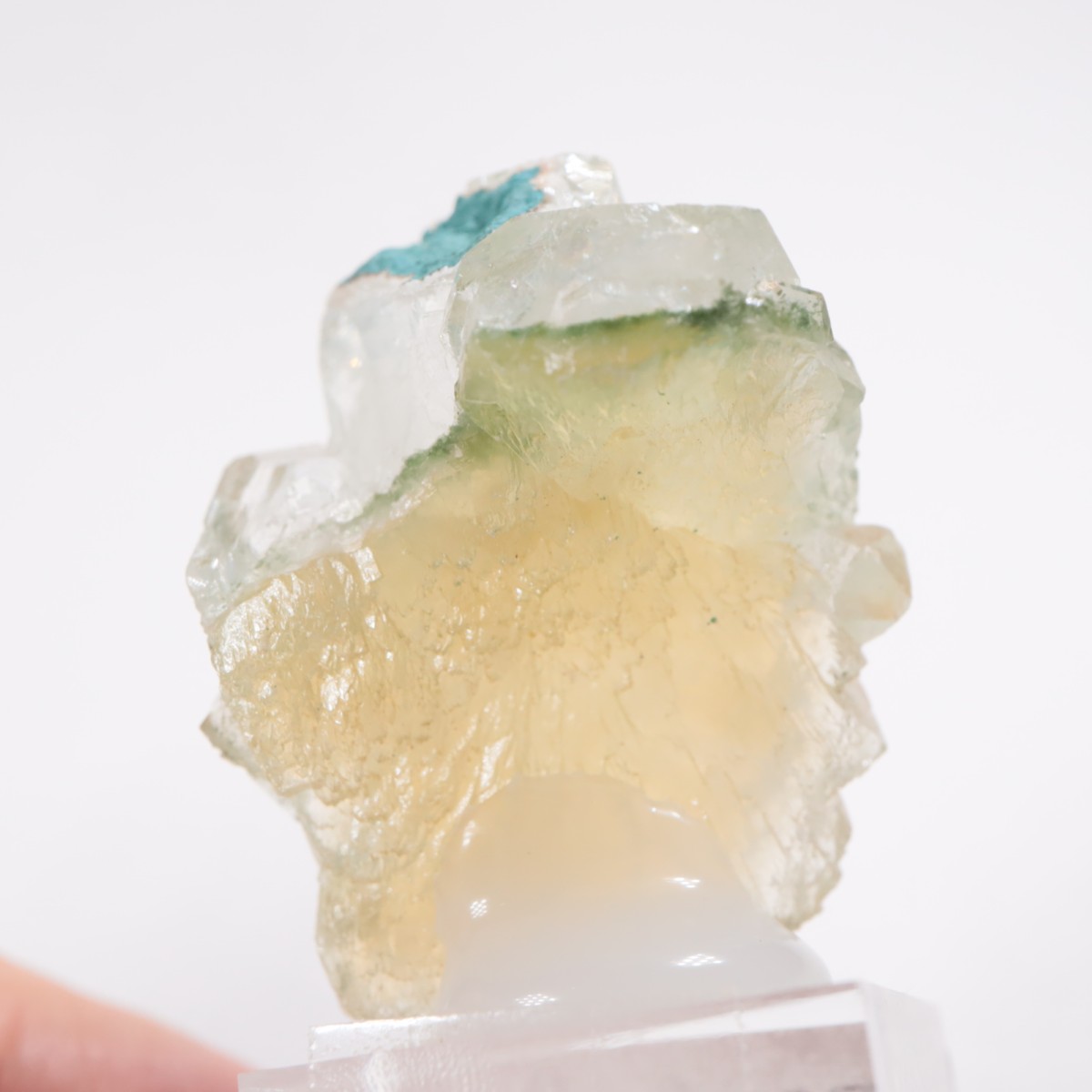 ����ɻ� ���ݥե��饤��