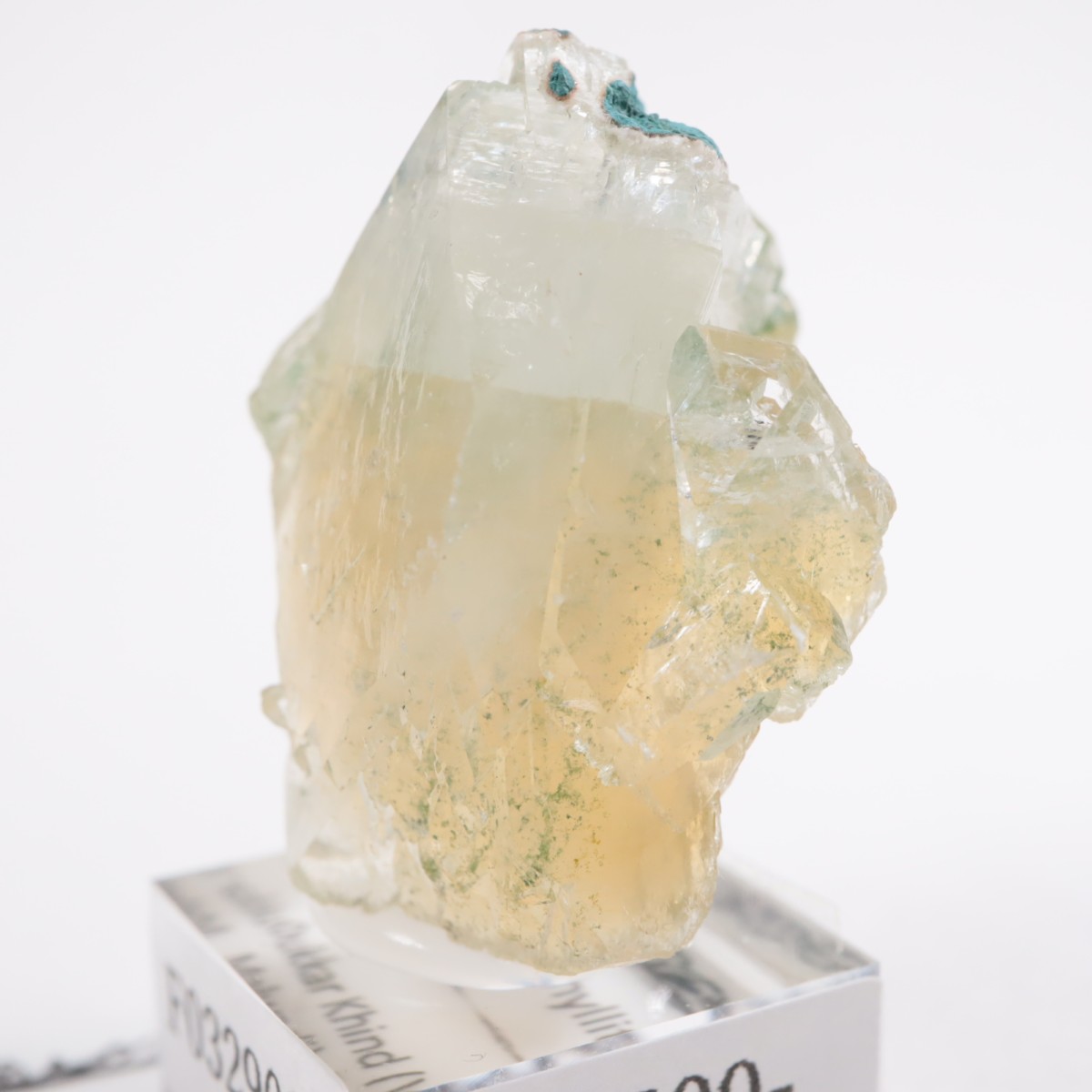 ����ɻ� ���ݥե��饤��