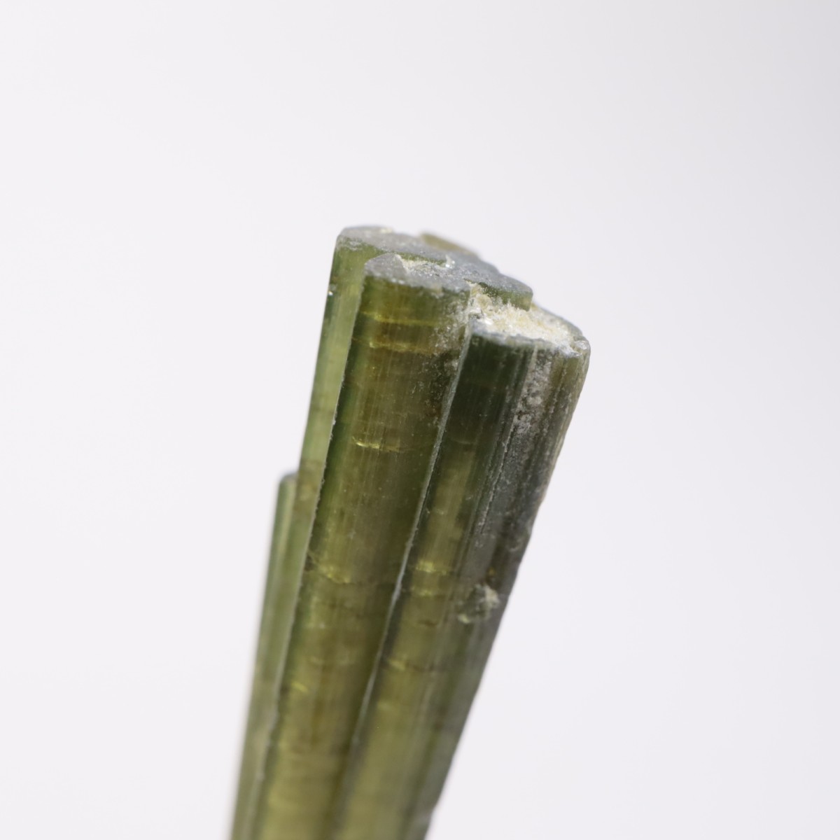 �֥饸�뻺���ȥ�ޥ��