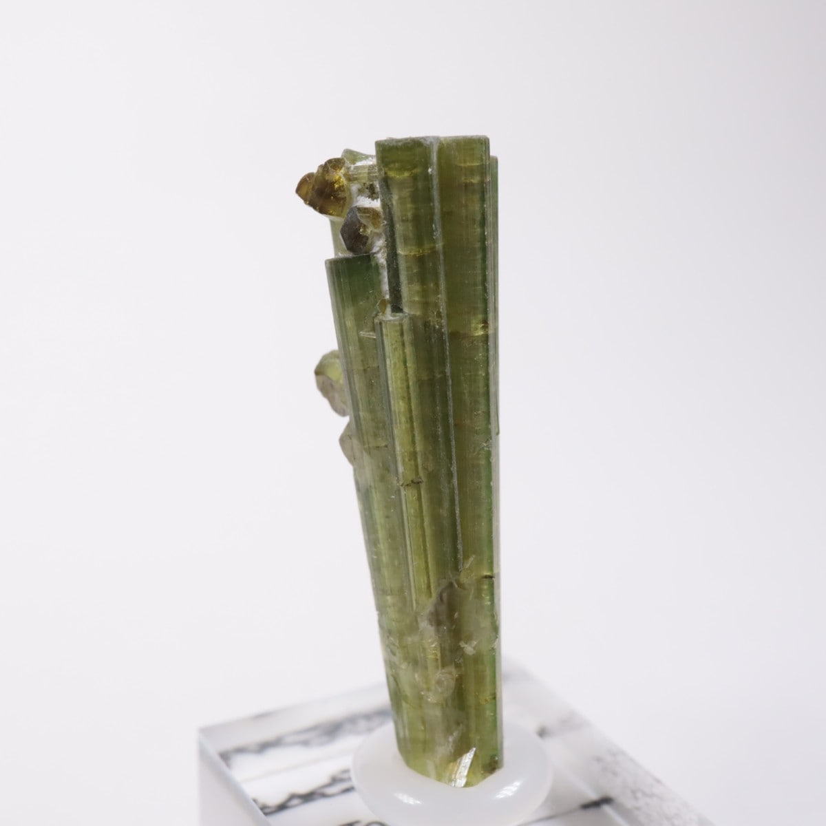 �֥饸�뻺���ȥ�ޥ��