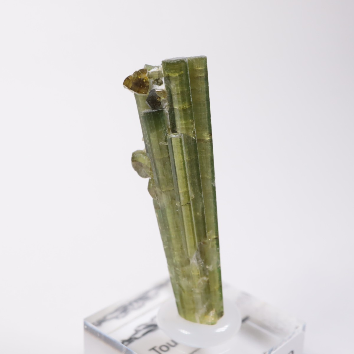 �֥饸�뻺���ȥ�ޥ��