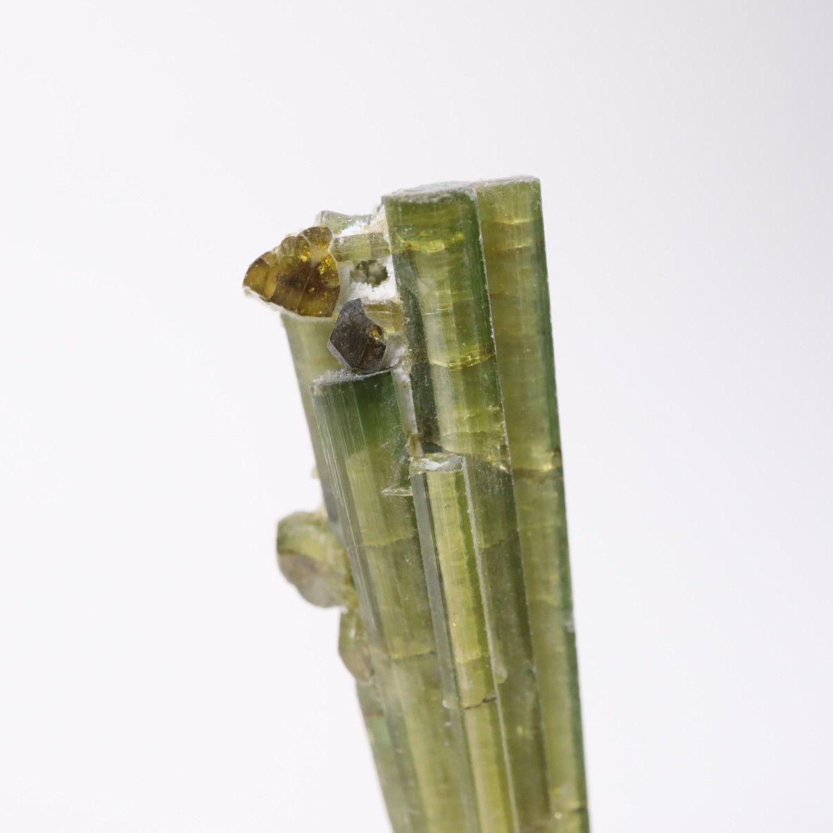 �֥饸�뻺���ȥ�ޥ��