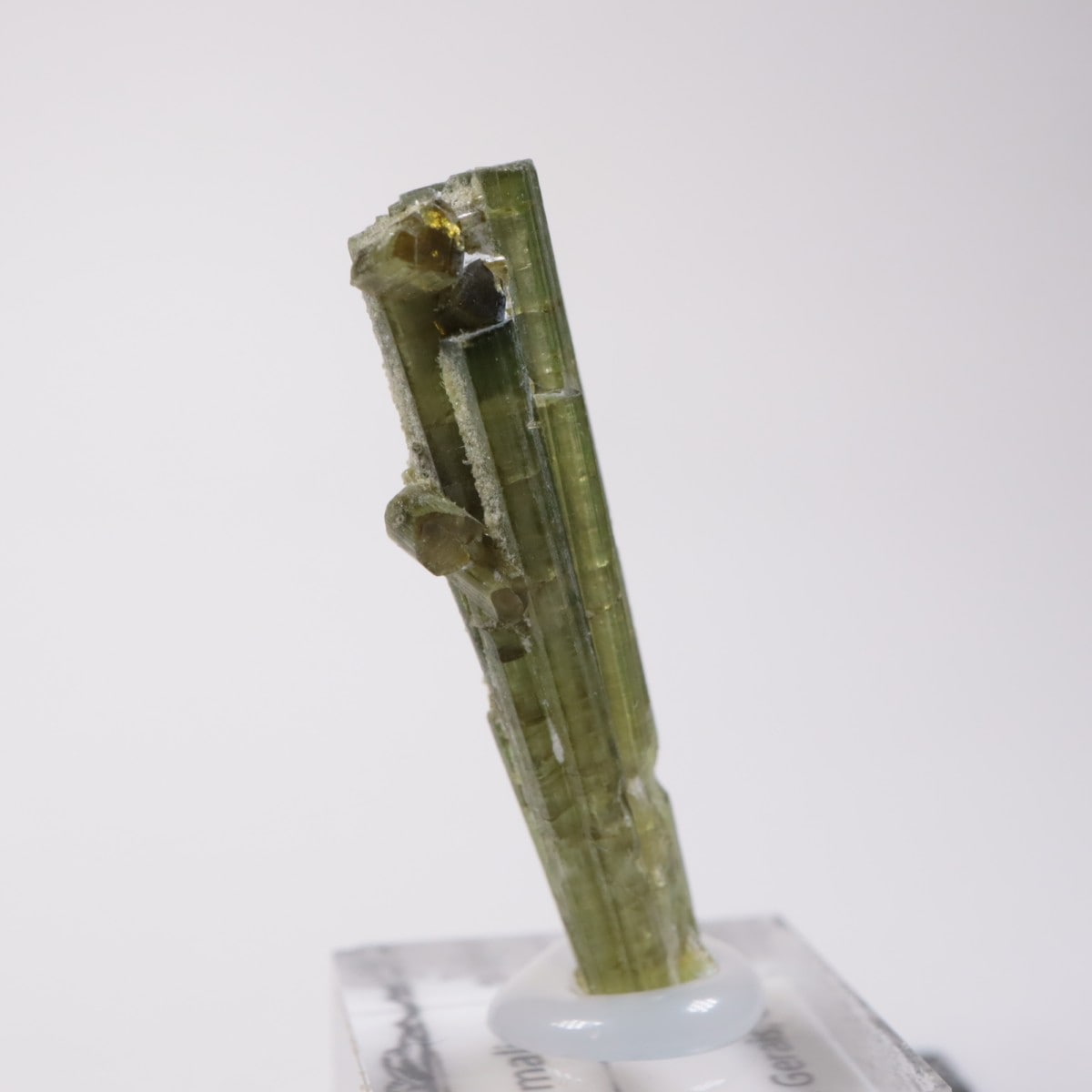 �֥饸�뻺���ȥ�ޥ��