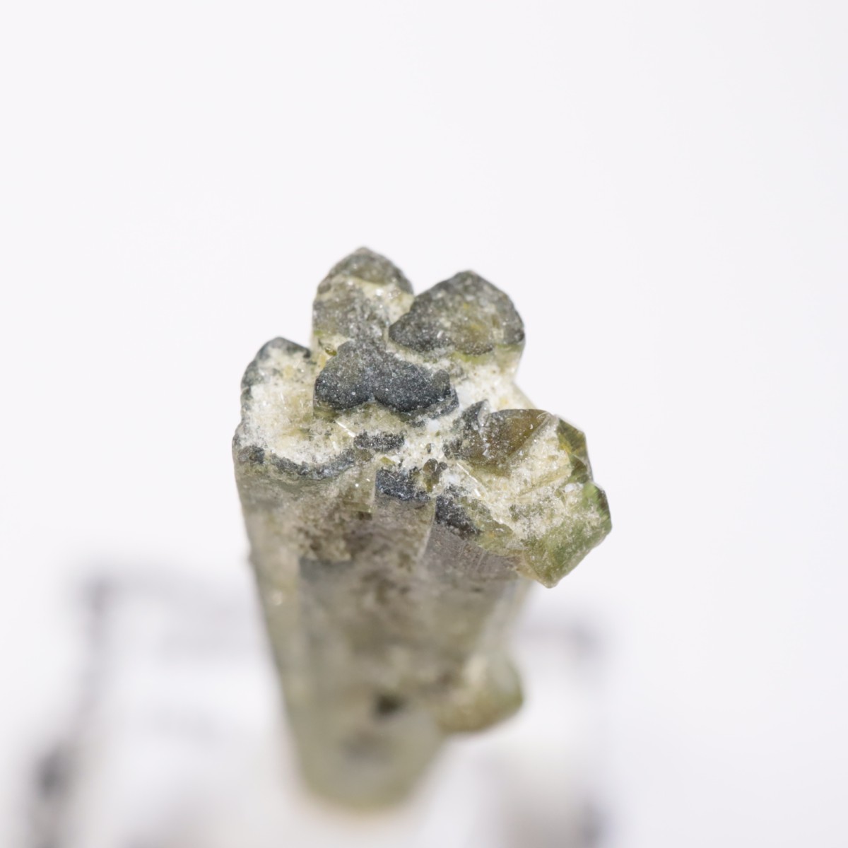 �֥饸�뻺���ȥ�ޥ��