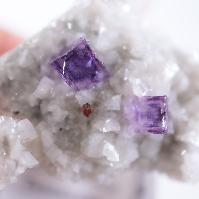 エルムウッド鉱山 フローライト | 鉱物標本,ハ行,フローライト/蛍石