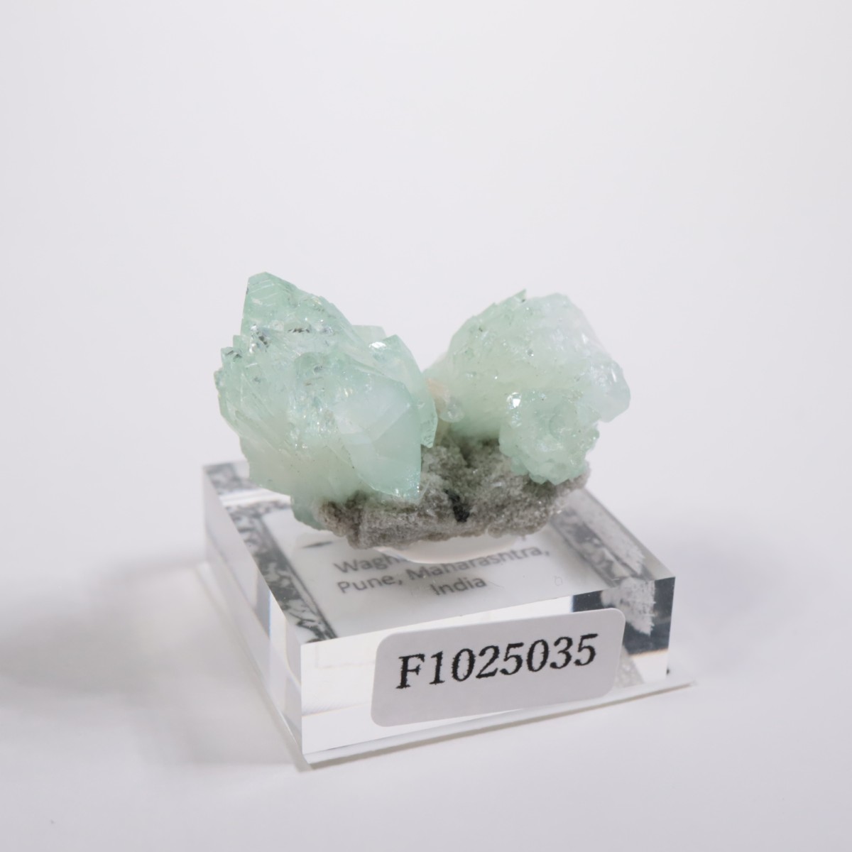 ����ɻ� ���ݥե��饤��